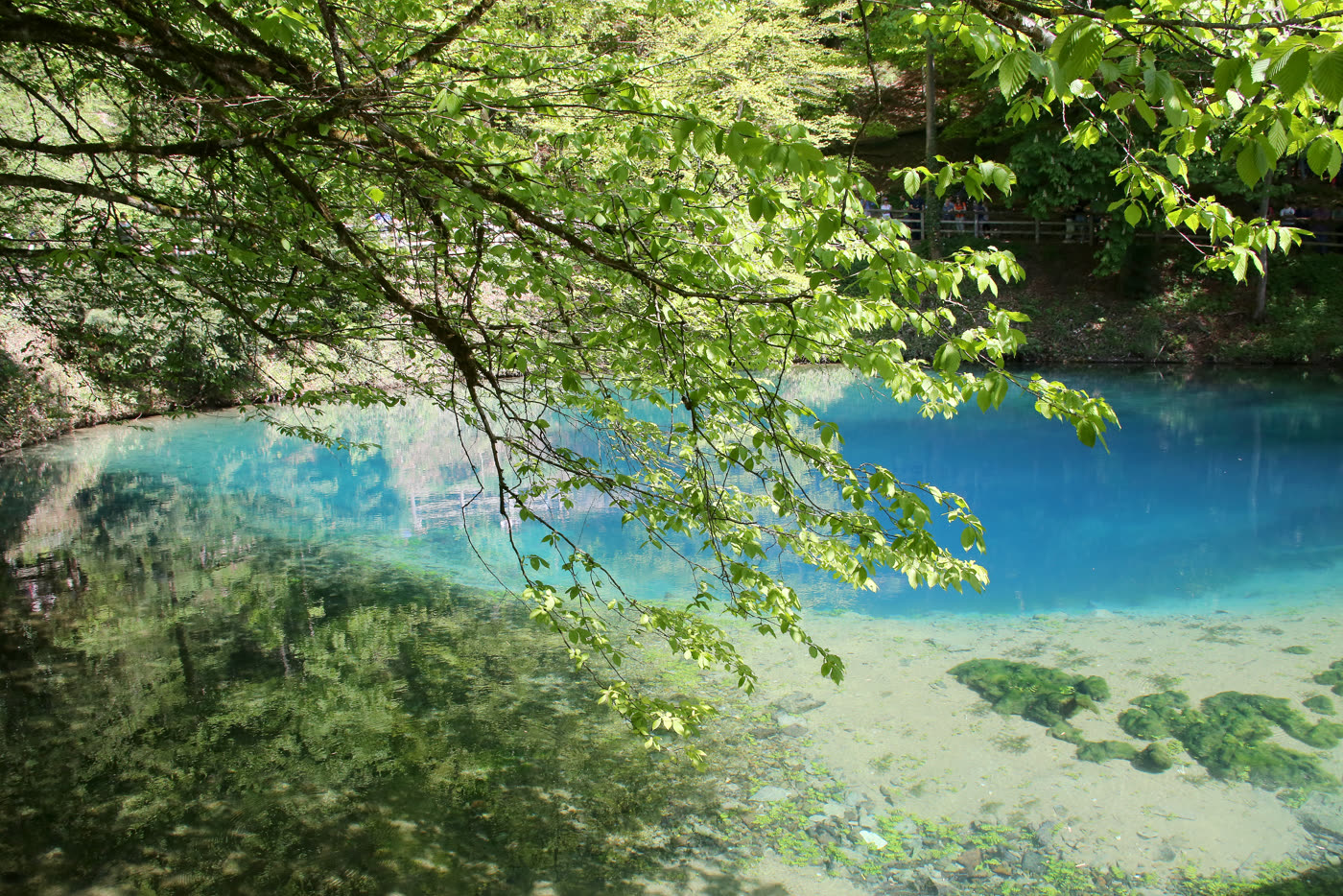 Der türkisblaue Blautopf zwischen frischem Frühlingsgrün